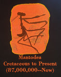 Mantodea (Digital Download)
